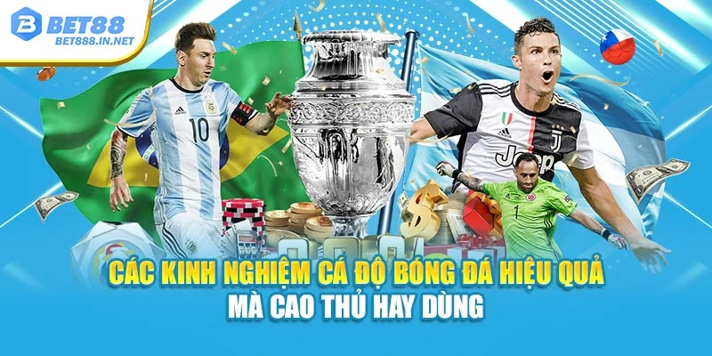 Các kinh nghiệm cá độ bóng đá hiệu quả mà cao thủ hay dùng