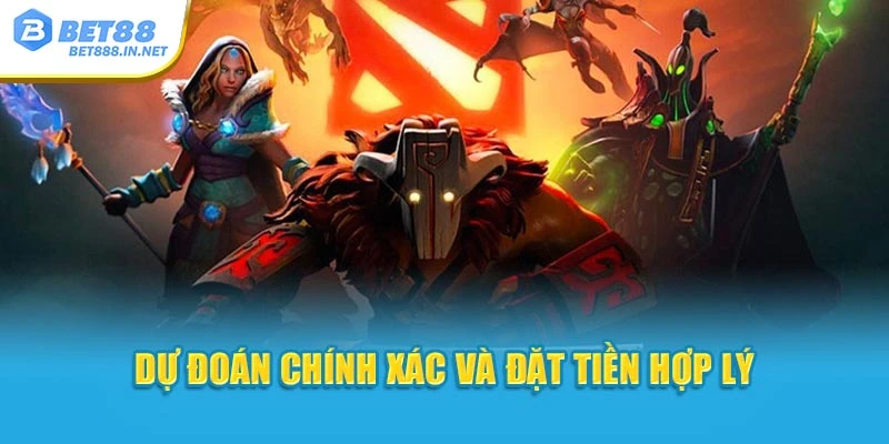 Dự đoán chính xác và đặt tiền hợp lý