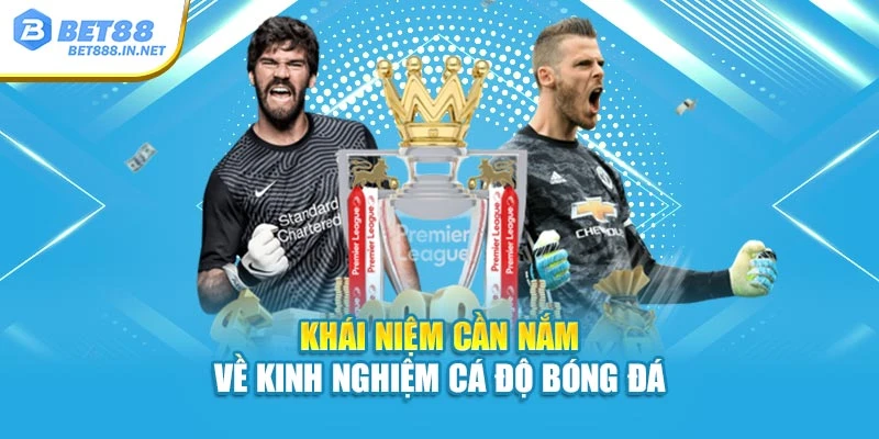 Khái niệm cần nắm về kinh nghiệm cá độ bóng đá