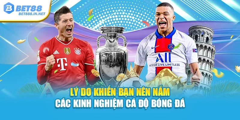 Lý do khiến bạn nên nắm các kinh nghiệm cá độ bóng đá